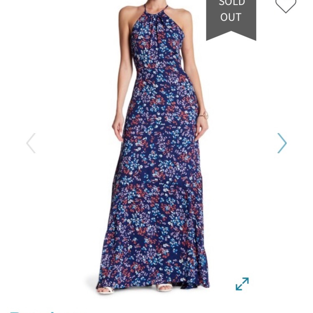 Parker Sweet Pea maxi dress size xs fits big more of a small